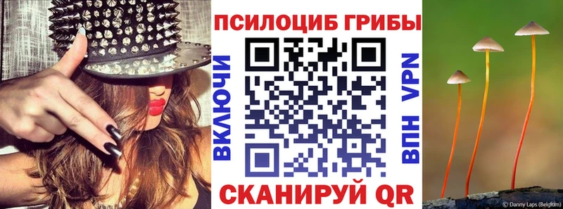купить наркотики цена  Любань  Псилоцибиновые грибы ЛСД 
